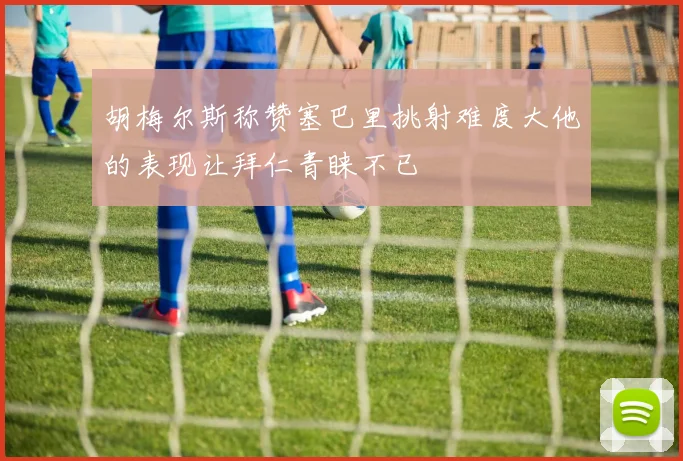 胡梅尔斯称赞塞巴里挑射难度大他的表现让拜仁青睐不已