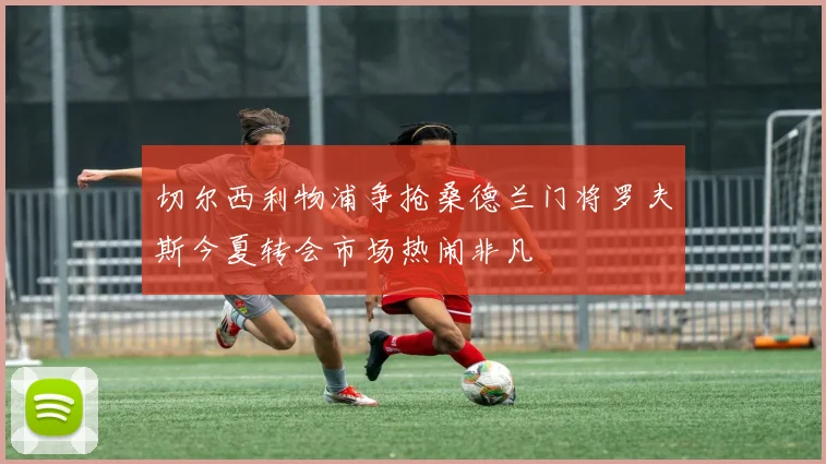 切尔西利物浦争抢桑德兰门将罗夫斯今夏转会市场热闹非凡